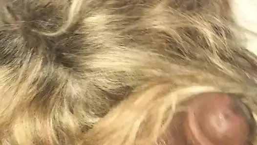 Experienced tongues dance, skin tones blend.