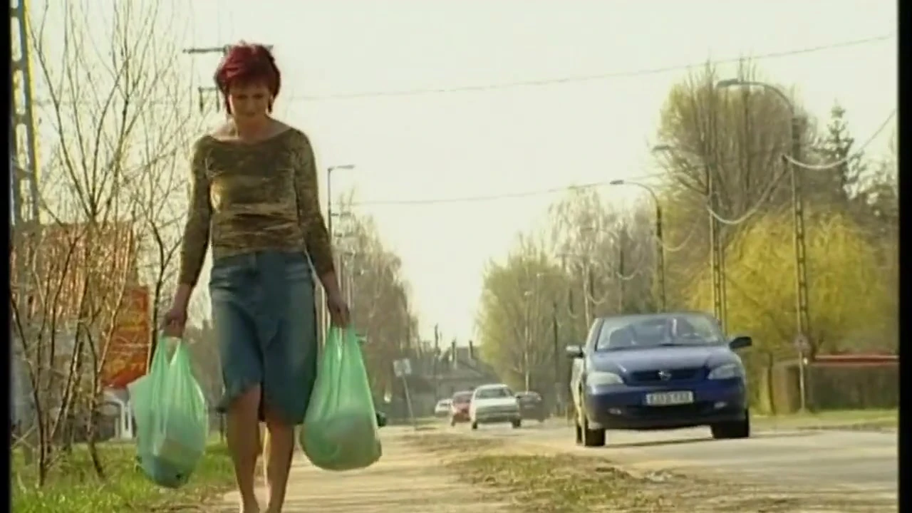 Mature cougar seeks huge dick, unapologetically.